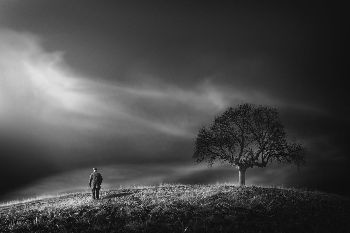 loneliness Poster och Canvastavla