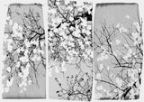 Oriental Blossom Poster och Canvastavla