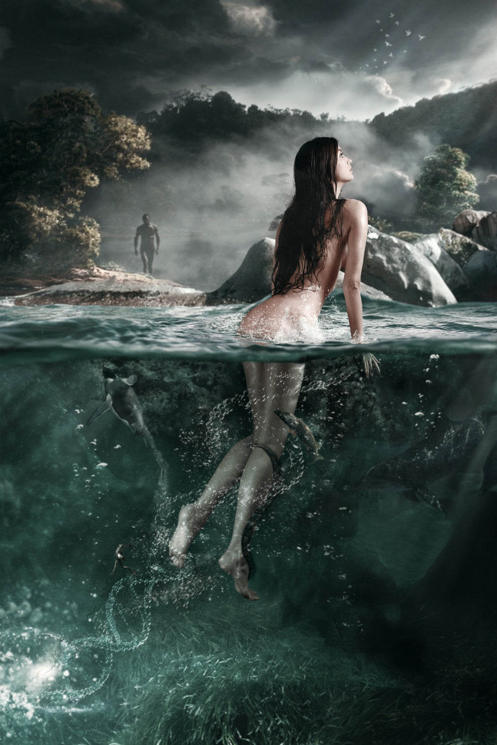 the creation of life Poster och Canvastavla