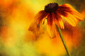 Flower Poster och Canvastavla