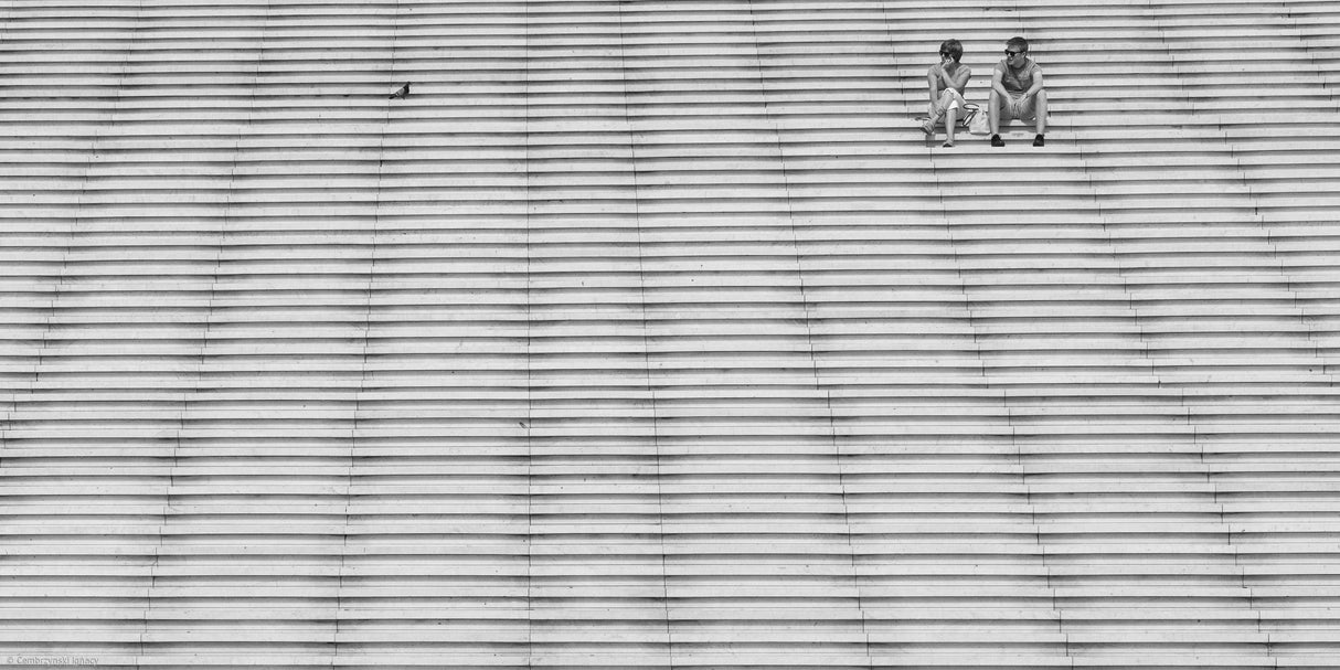 a short story about a lonely pigeon watching a couple of people Poster och Canvastavla