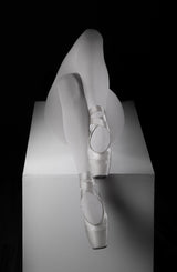 Pointe shoes Poster och Canvastavla