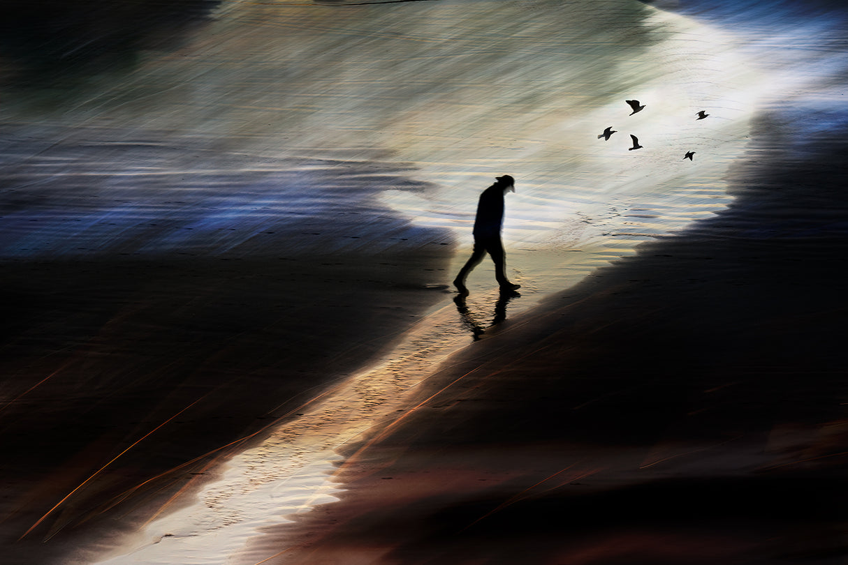 The path Poster och Canvastavla