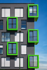 5xgreen Poster och Canvastavla