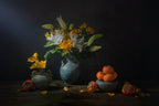 Persimmon Harvest Poster och Canvastavla