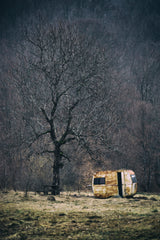 Left Alone Poster och Canvastavla