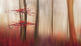Red Leaves. Poster och Canvastavla