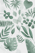 Greenery Leaves 1 Poster och Canvastavla