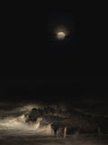 sea of shadows Poster och Canvastavla