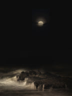sea of shadows Poster och Canvastavla
