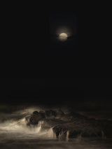 sea of shadows Poster och Canvastavla