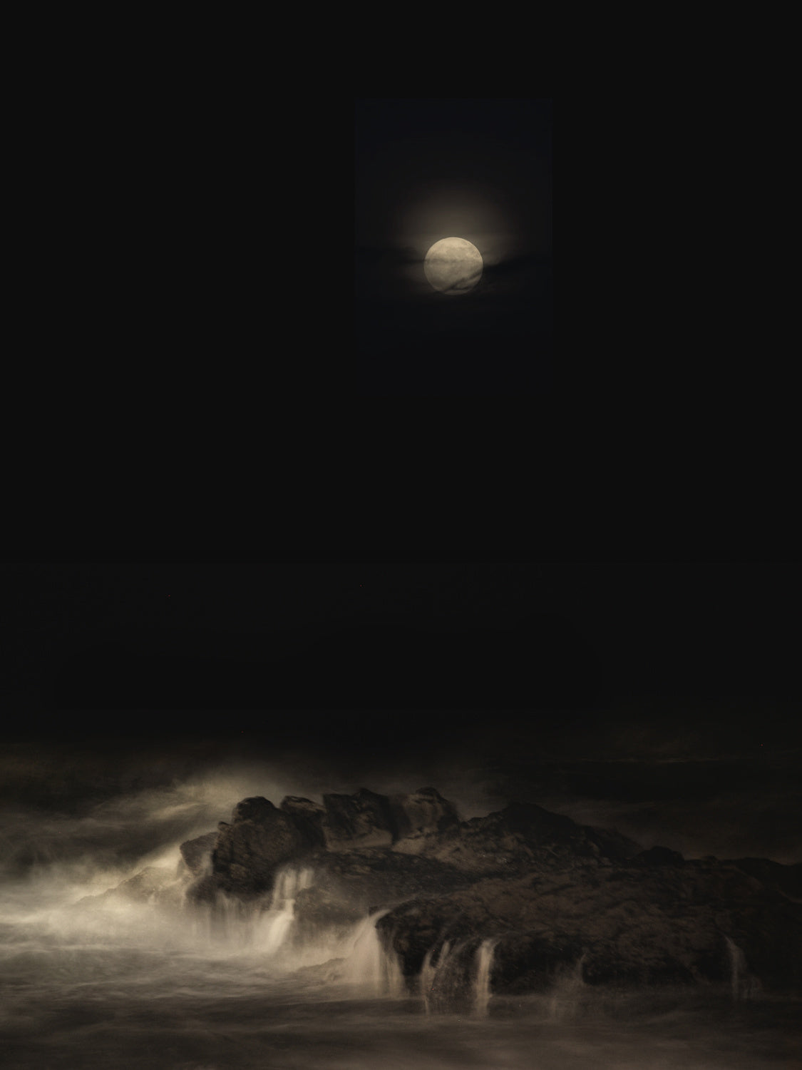 sea of shadows Poster och Canvastavla