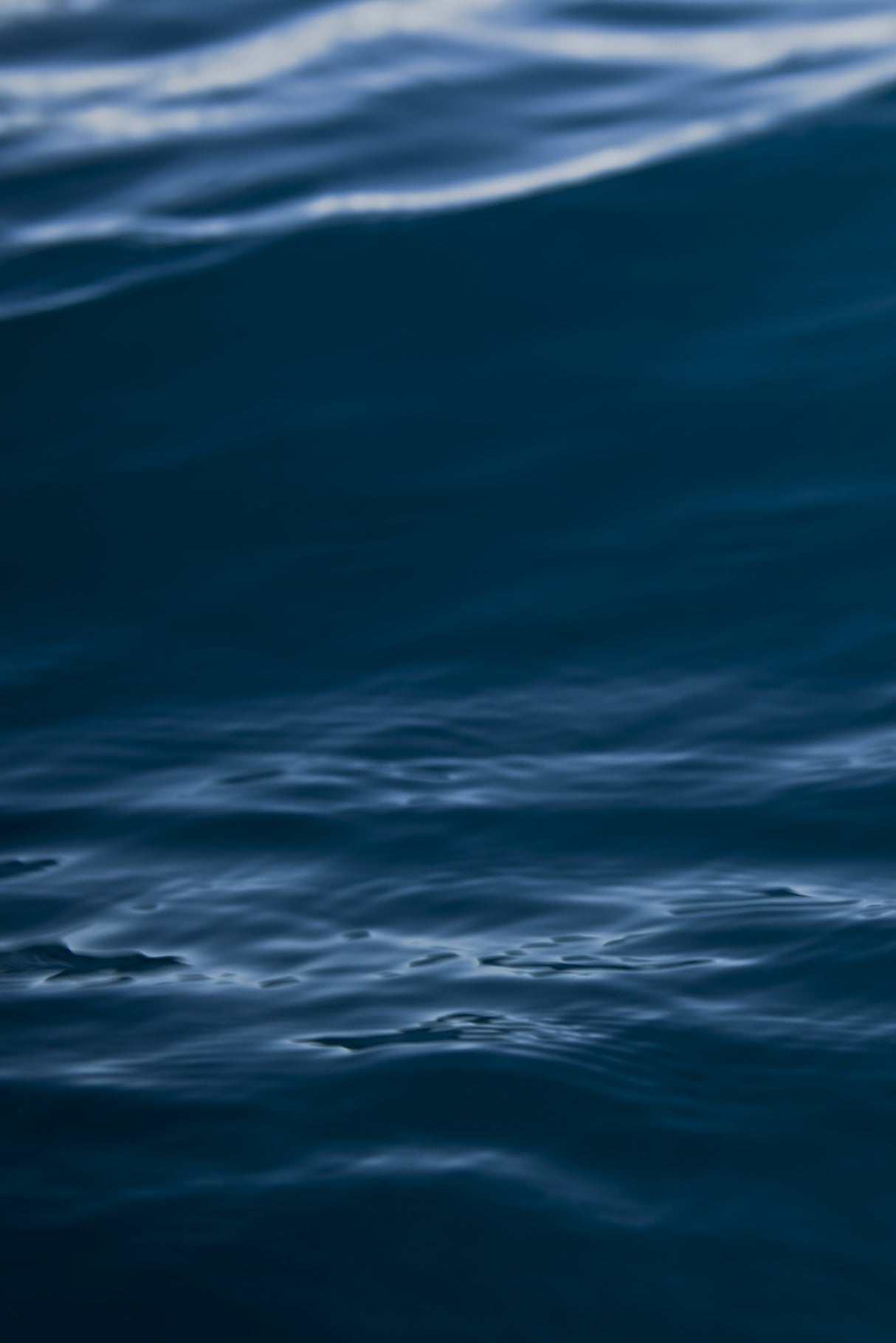 Watery Poster och Canvastavla