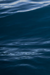 Watery Poster och Canvastavla