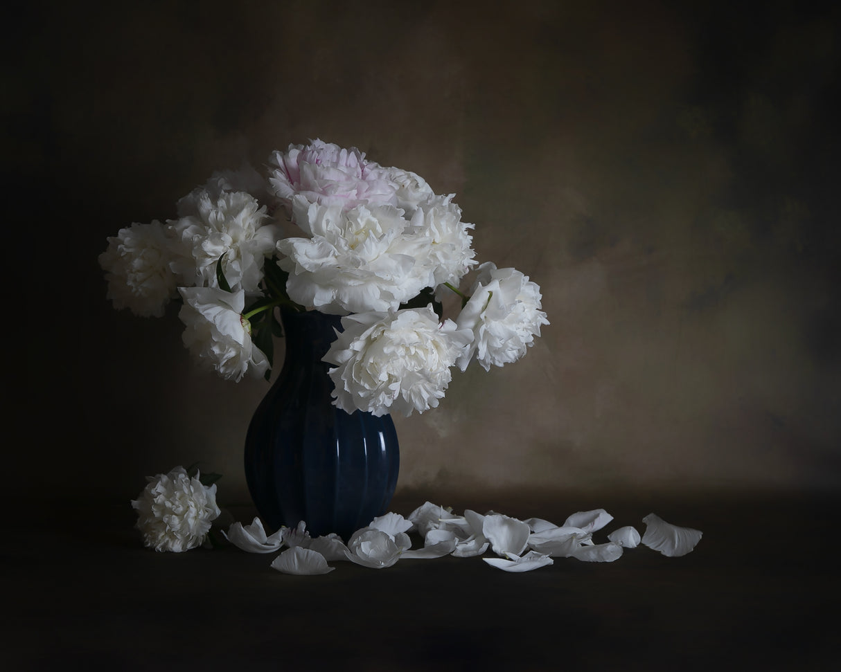 Peony Poster och Canvastavla
