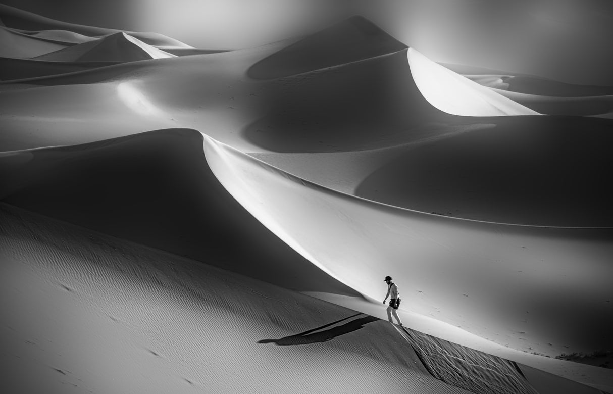The Sand Dunes Poster och Canvastavla