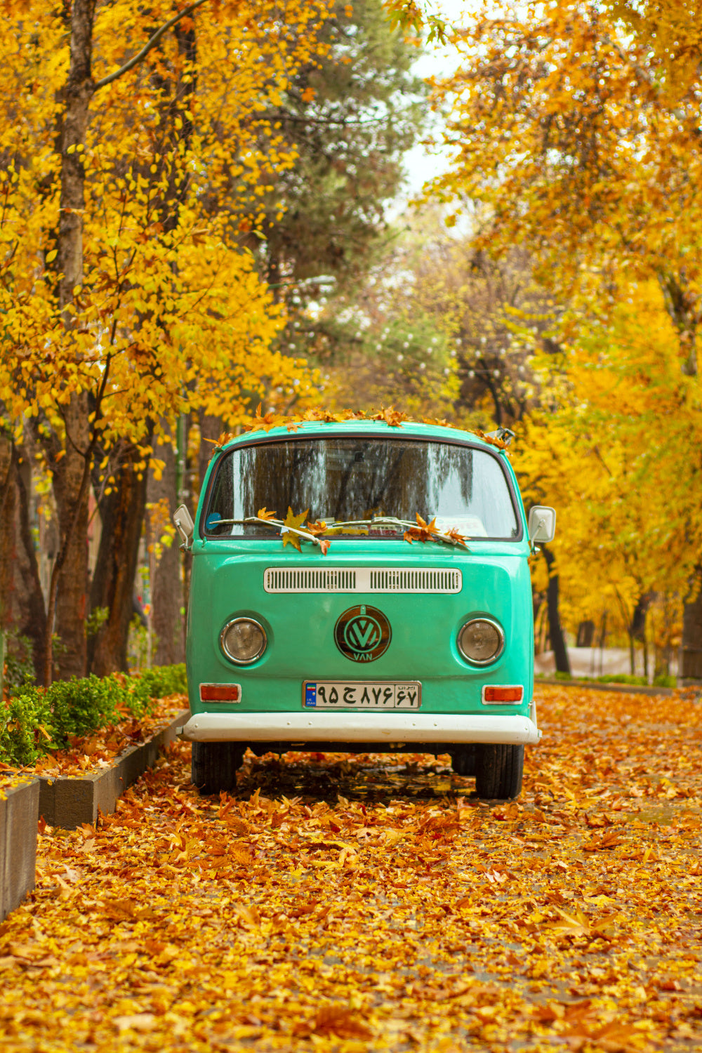 Silent autumn Poster och Canvastavla
