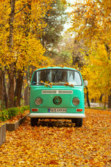 Silent autumn Poster och Canvastavla