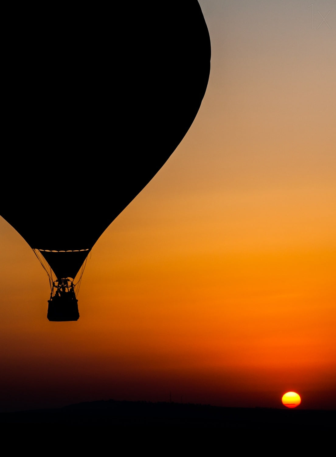 Two Balloons Poster och Canvastavla