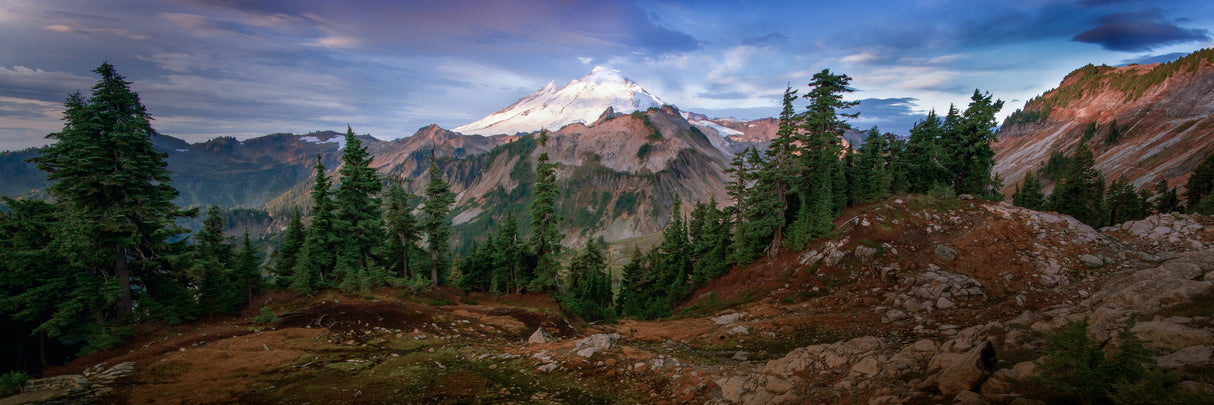 Mount Baker from Artist Point Poster och Canvastavla