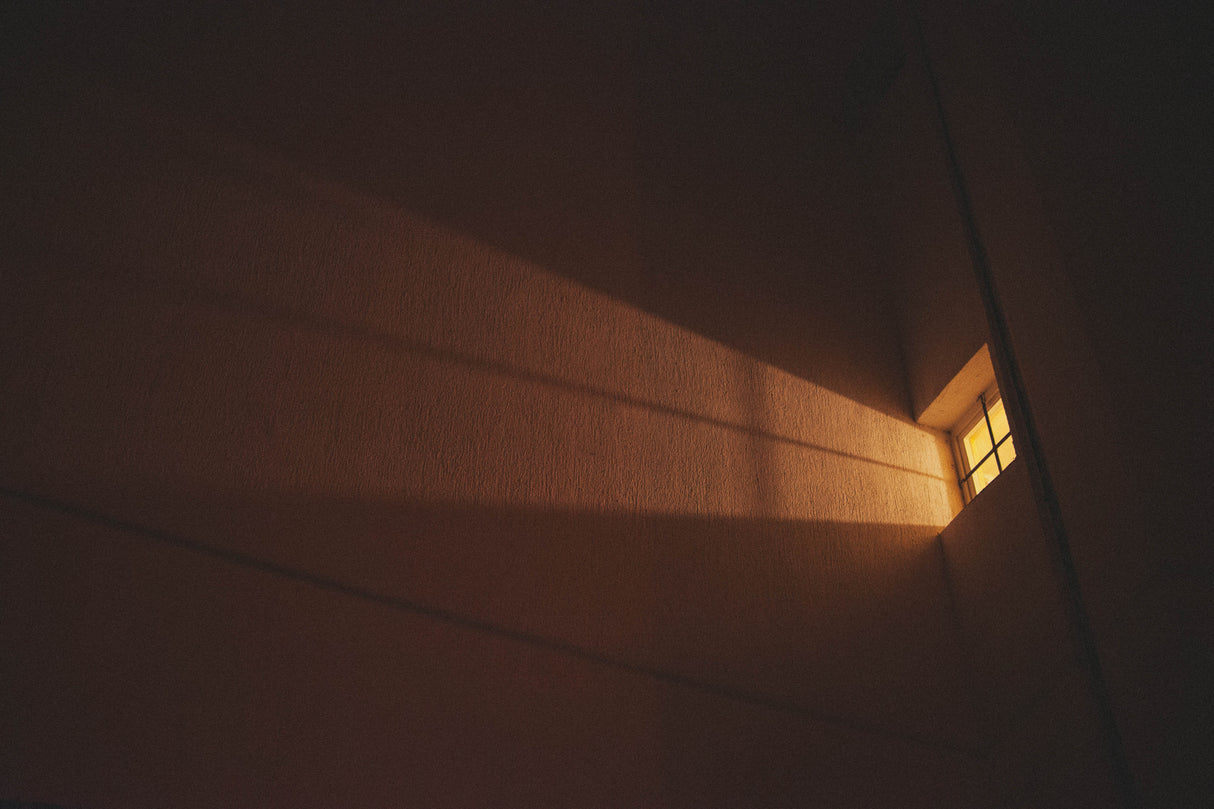 shadows Poster och Canvastavla