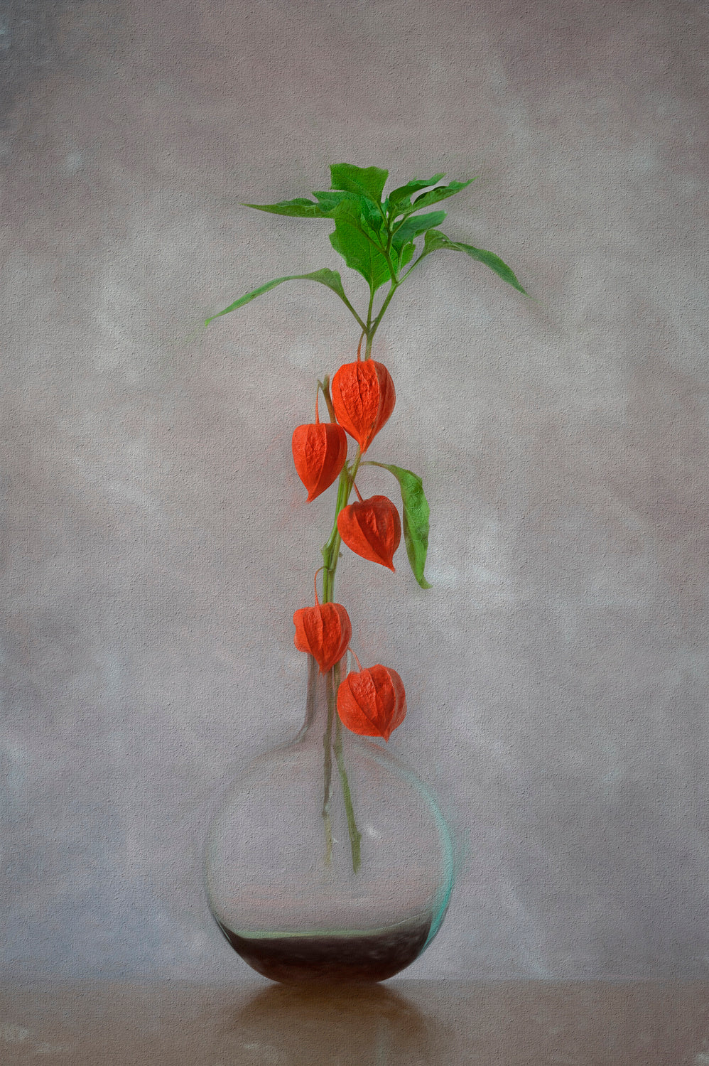 Chinese Lantern Poster och Canvastavla