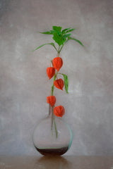 Chinese Lantern Poster och Canvastavla
