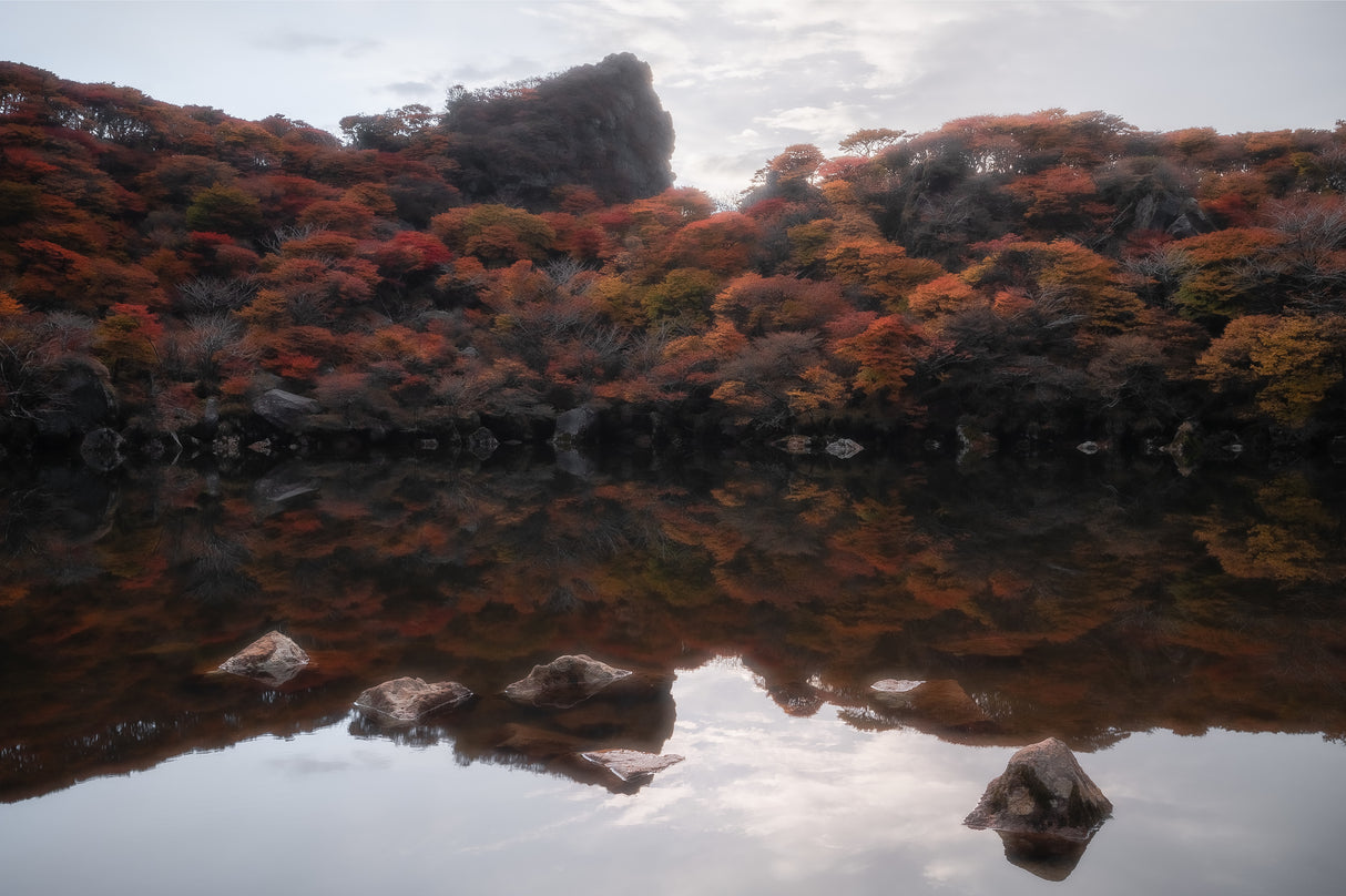Autumn pond Poster och Canvastavla