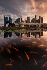 City Habitat Poster och Canvastavla