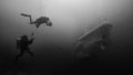 Meeting with Cpt. Nemo Poster och Canvastavla