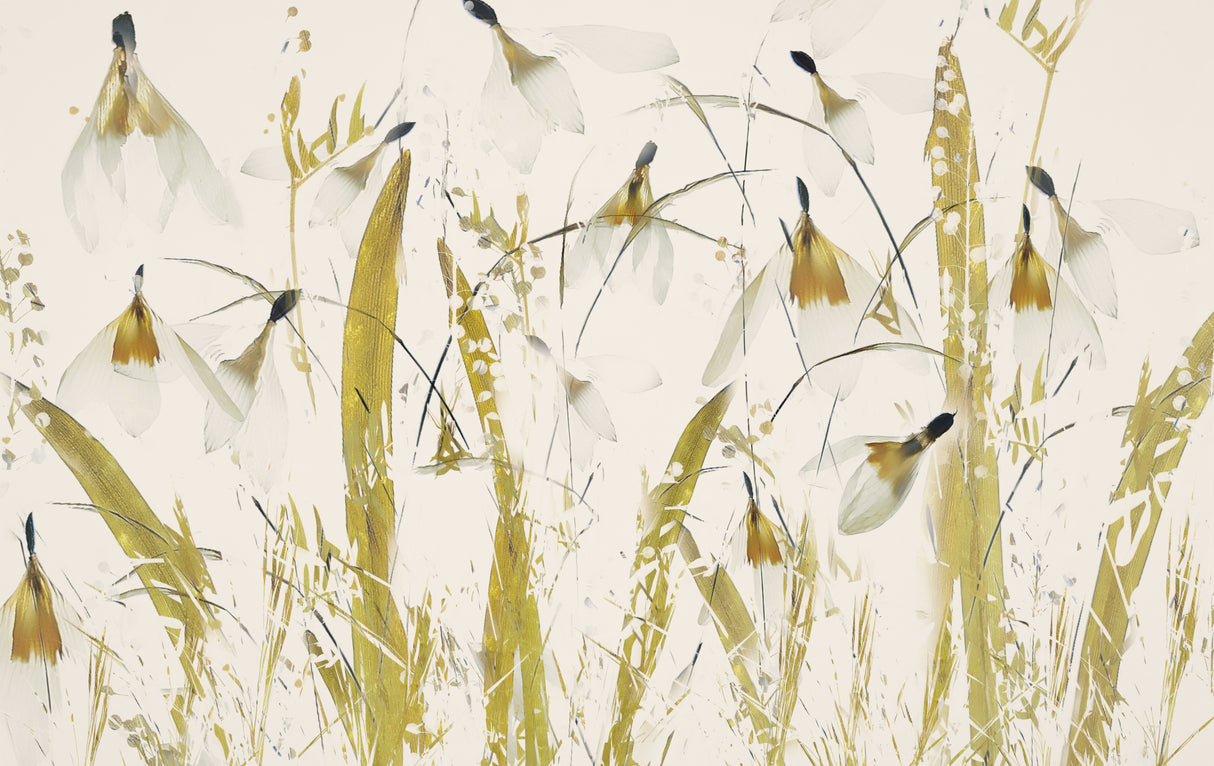 Snowdrops Poster och Canvastavla