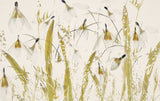 Snowdrops Poster och Canvastavla