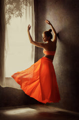 Dancer from the Past Poster och Canvastavla