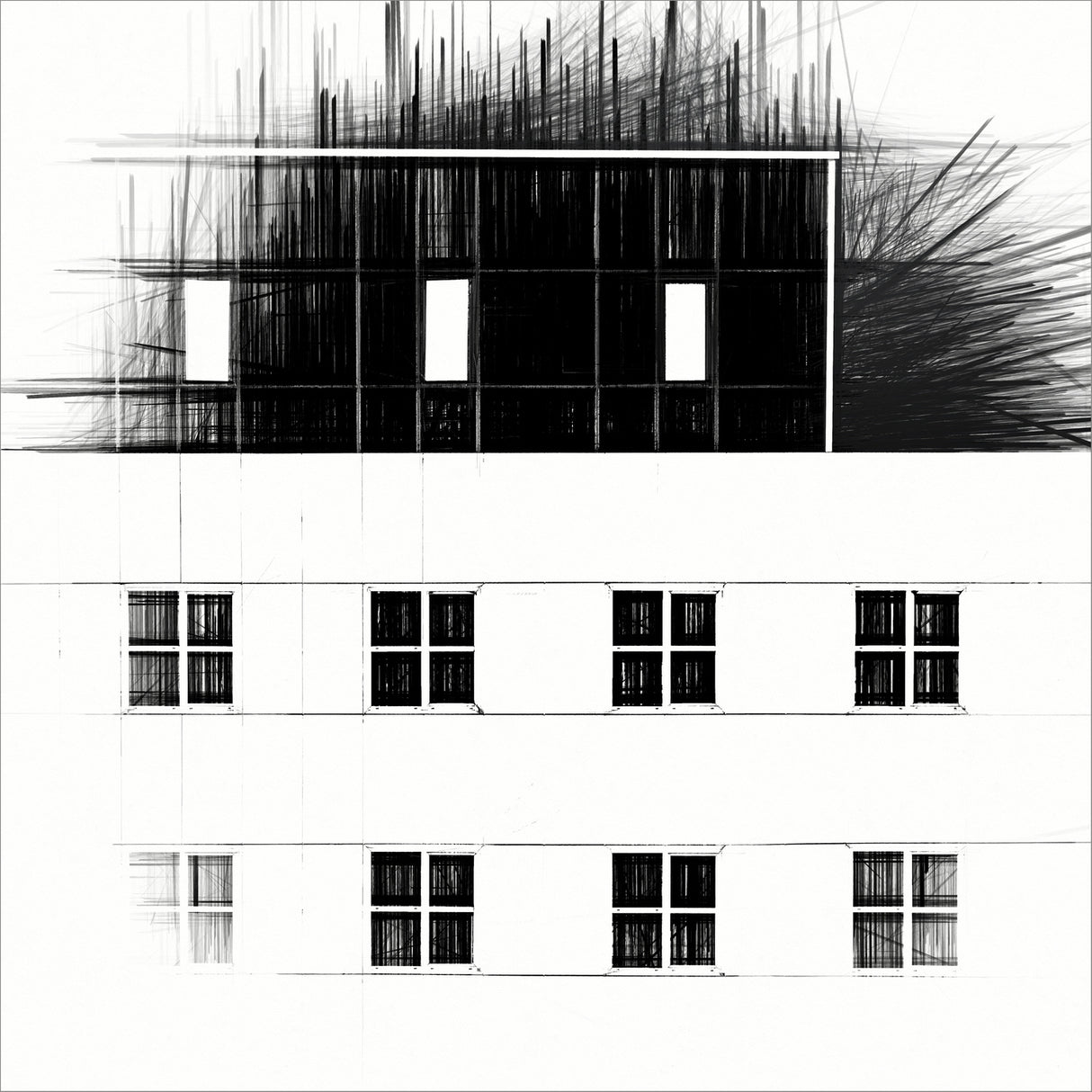white vs black Poster och Canvastavla