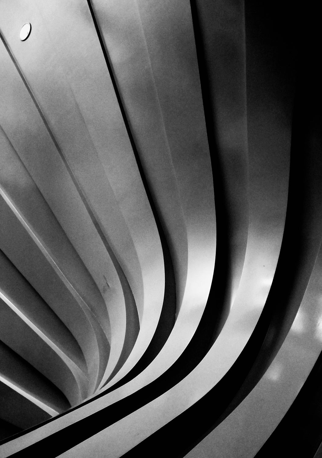 The Lines Poster och Canvastavla