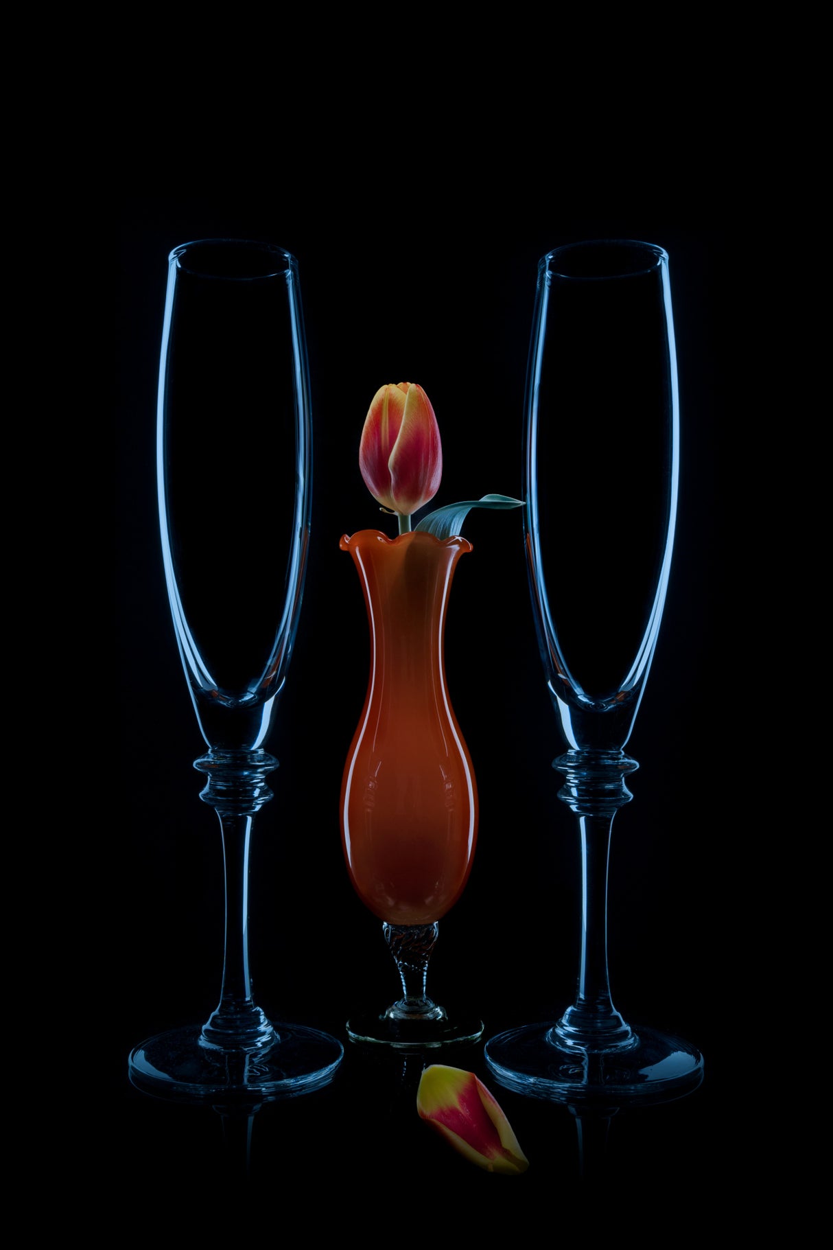Orange Spring Tulip Poster och Canvastavla