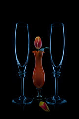 Orange Spring Tulip Poster och Canvastavla