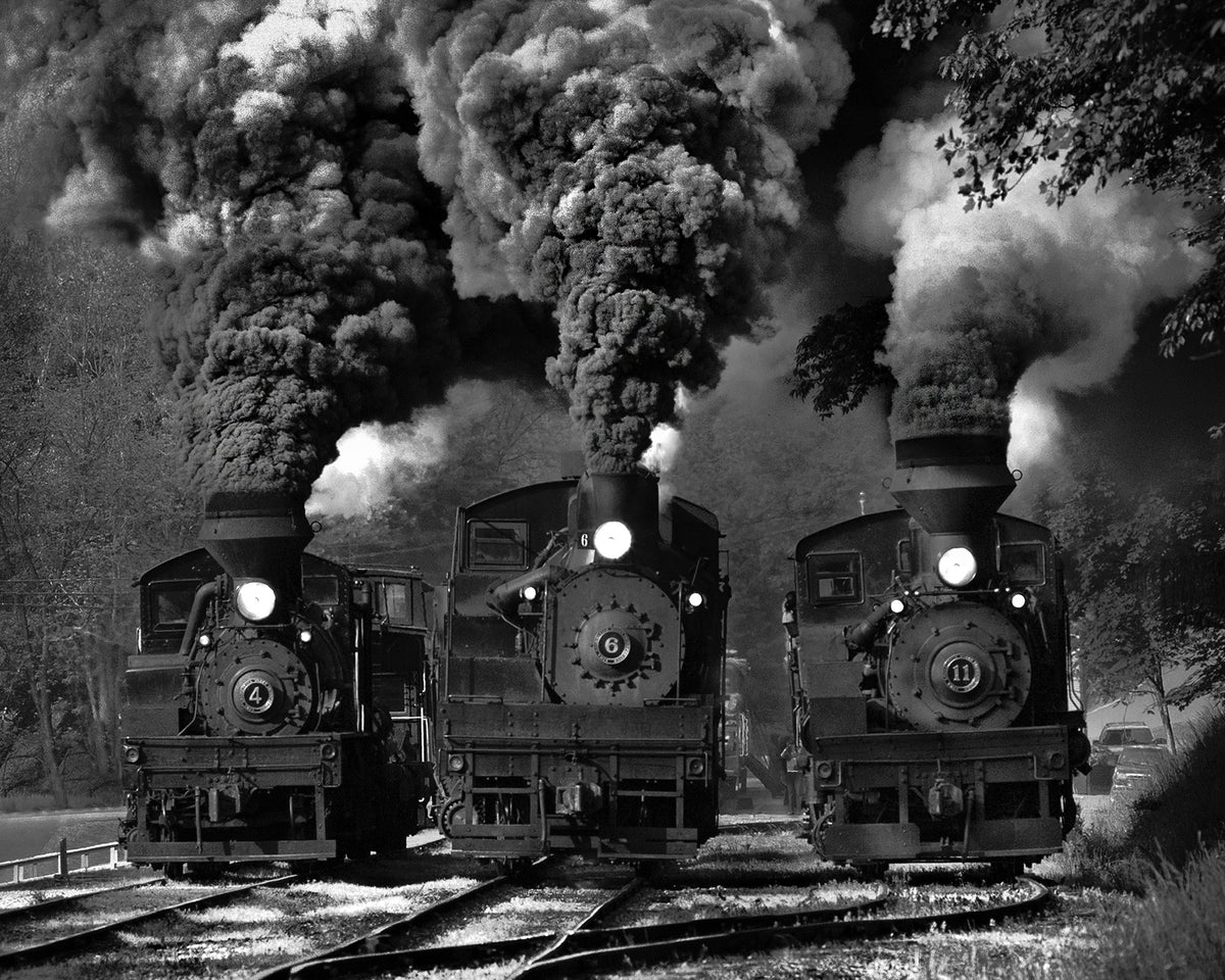 Train Race in BW Poster och Canvastavla