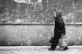 winter passengers Poster och Canvastavla