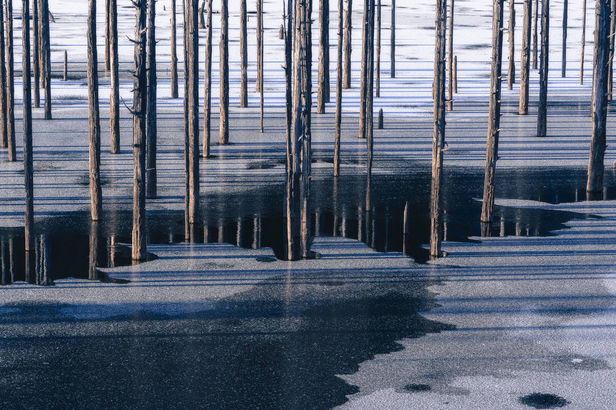 Winter lake Poster och Canvastavla