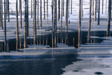 Winter lake Poster och Canvastavla