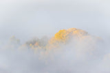 TREES IN FOG Poster och Canvastavla