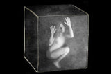 Box-shaped heart Poster och Canvastavla
