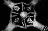 Our World Poster och Canvastavla