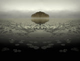 unreal island Poster och Canvastavla