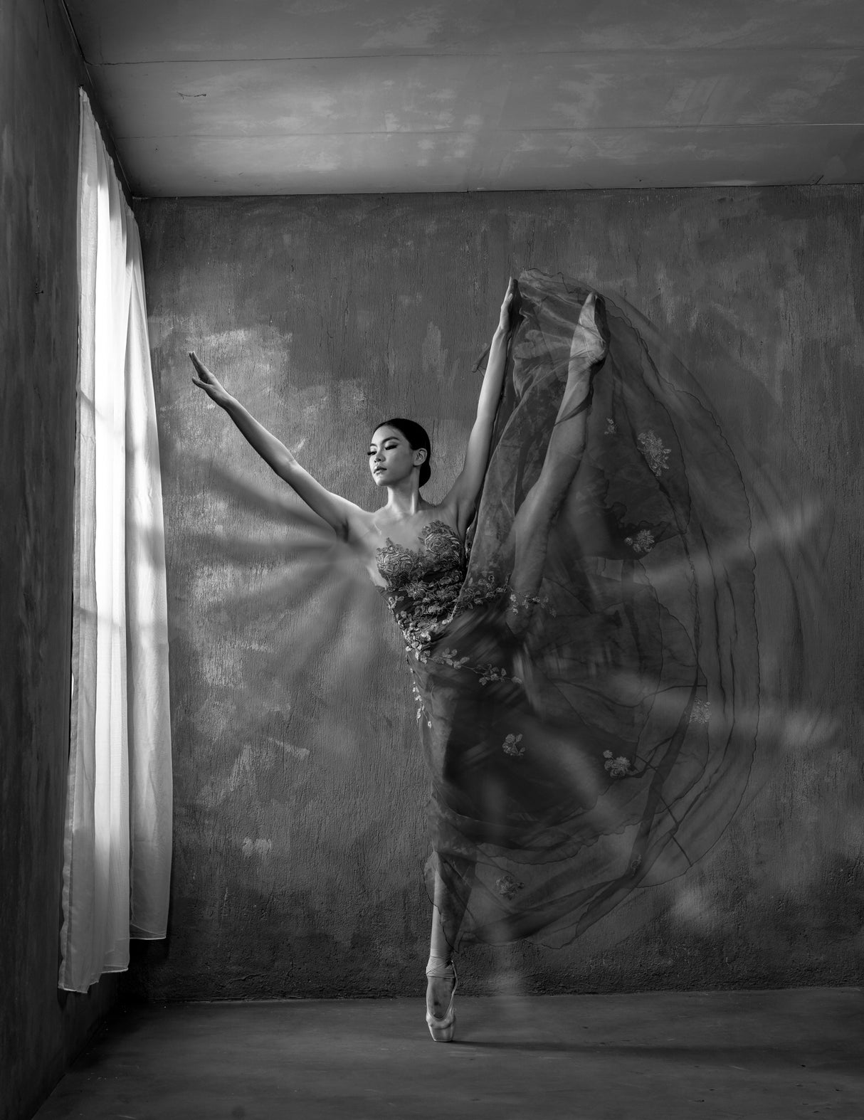 Balerina Movement Near Window Poster och Canvastavla