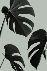 Monstera Teal 05 Poster och Canvastavla