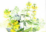 Wildblumen Aus Dem Erzgebirge Poster och Canvastavla