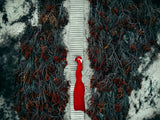 My Road, My Dream, My Life... Poster och Canvastavla