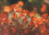 floral art in red Poster och Canvastavla
